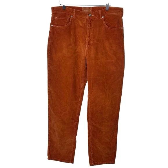 Everlane Baby Cord Cheeky Pants Regular Rust Straight Leg Corduroy Sz 33 Jeans - Picture 2 of 6